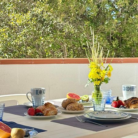 Garden Retreat - Homey Experience 奧爾比亞 外观 照片