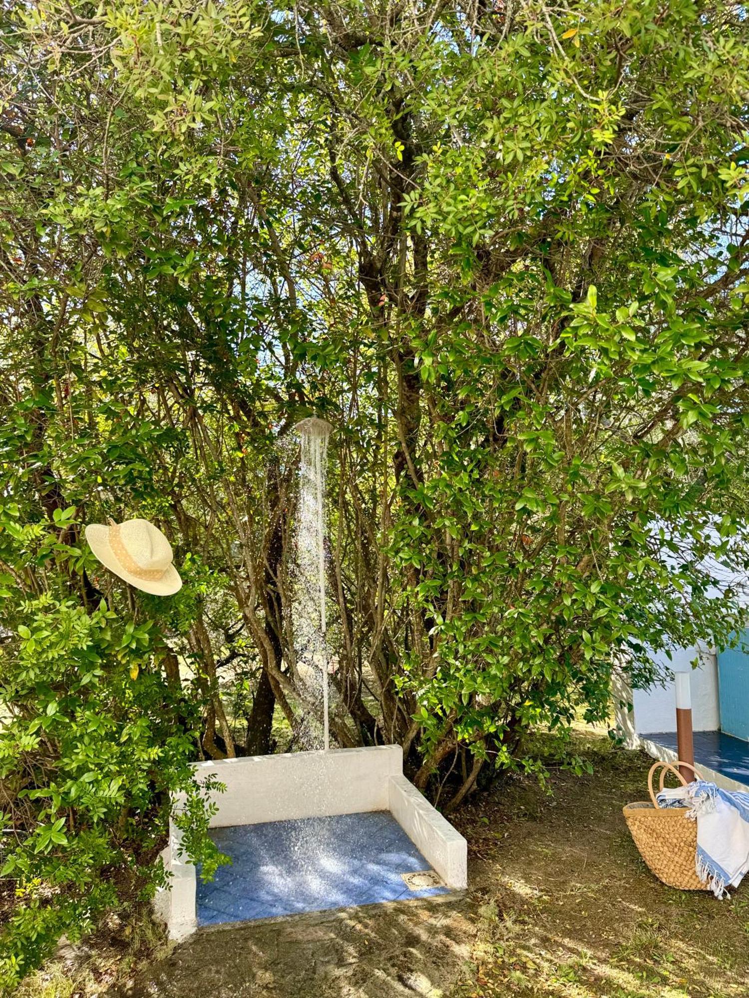 Garden Retreat - Homey Experience 奧爾比亞 外观 照片