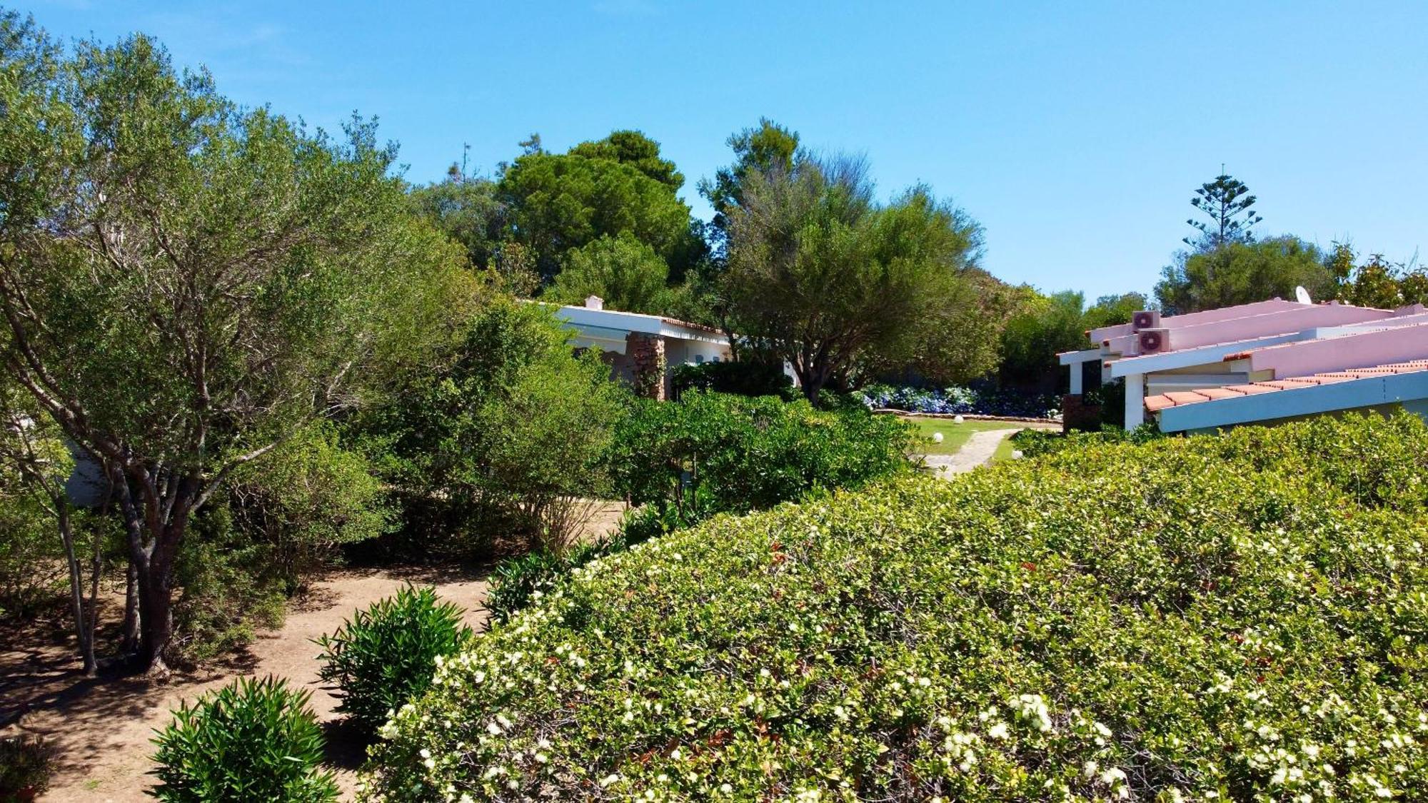 Garden Retreat - Homey Experience 奧爾比亞 外观 照片
